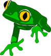 Australian Frogs - Frogs of Australia