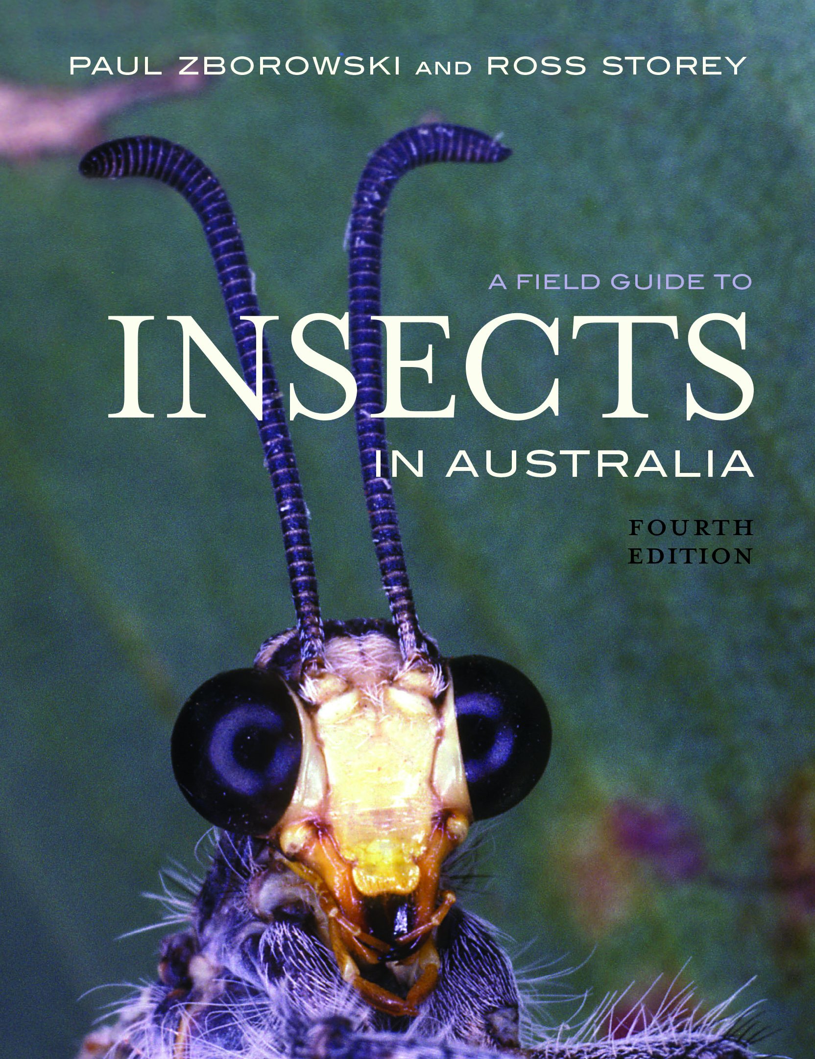 A Field Guide To Insects In Australia, by Paul Zborowski and Ross Storey - Australian Field Guides and Nature Books