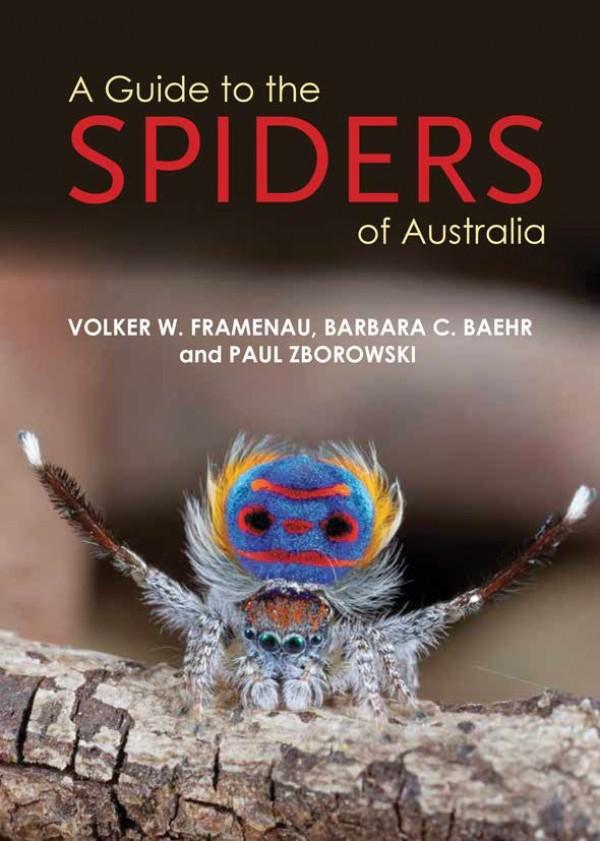 A Guide to the Spiders of Australia, by Volker W. Framenau, Barbara C. Baehr, and Paul Zborowski - Australian Field Guides and Nature Books