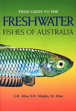 Field Guide to Freshwater Fishes of Australia G.R. Allen, S.H. Midgely and M. Allen.