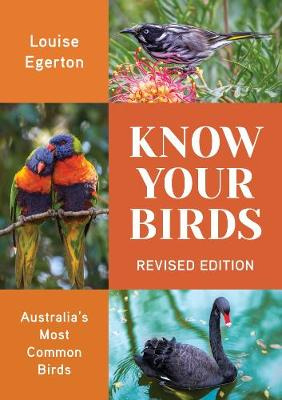 Know Your Birds, by Louise Egerton - Eastern Yellow Robin - Eopsaltria australia