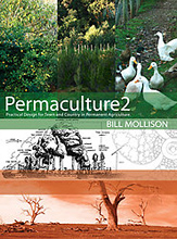 Permaculture Two : Practical Design for Town and Country in Permanent Agriculture, by Bill Mollison