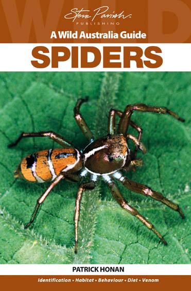 Spiders: A Wild Australia Guide, by Patrick Honan - Australian Field Guides and Nature Books