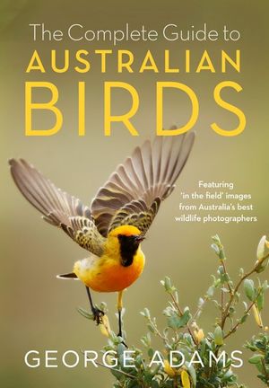 The Complete Guide to Australian Birds, by George Adams - Yellow-Tailed Black-Cockatoo - Calyptorhynchus lathami