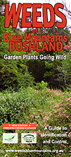 Weeds of Blue Mountains Bushland - Garden Plants Going Wild, Blue Mountains City Council
