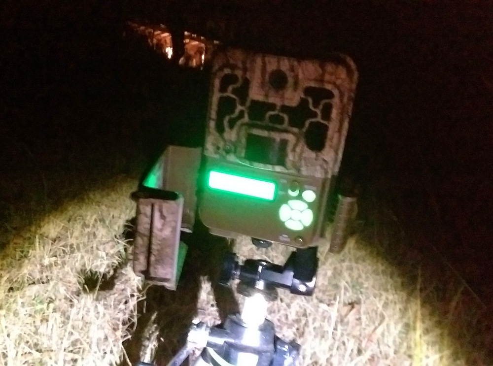My Browning Spec Ops BTC-8FHD trail camera. The display is illuminated bright green - Using a Trail Camera to Practice Trapping and/or Study Animals