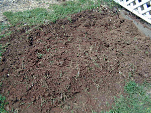 Starting a Vegetable Garden - Newly Turned Earth